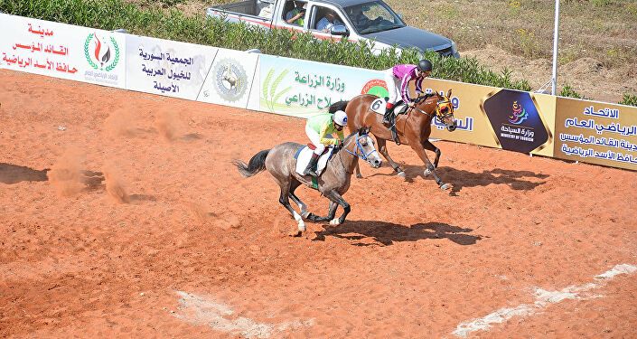 صور من مسابقة الخيول العربية الأصيلة في سوريا في اللاذقية
