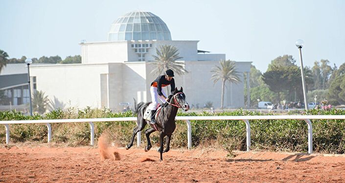 صور من مسابقة الخيول العربية الأصيلة في سوريا في اللاذقية