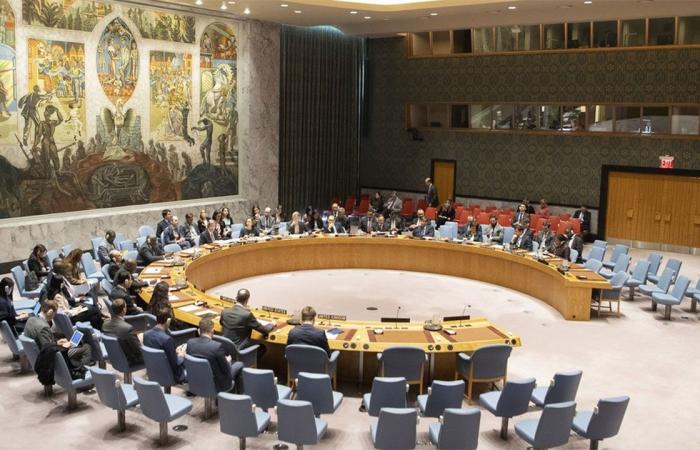 اليمن تطالب مجلس الأمن الدولي بالتصدي للسلوك الإرهابي لإيران وميليشيا الحوثي بالمنطقة