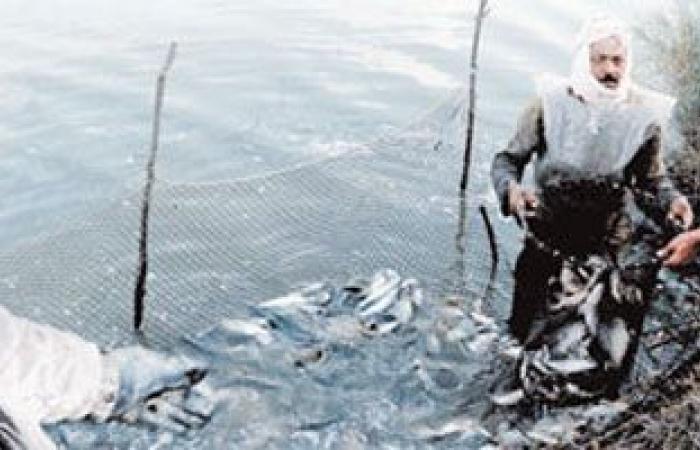 تعرف على التغطيات التأمينية المتاحة للاستزراع السمكى