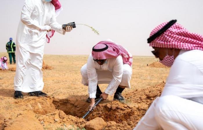 تشجير محمية الملك عبدالعزيز ترسخ رؤية محمد بن سلمان وتلبي أهداف السعودية الخضراء