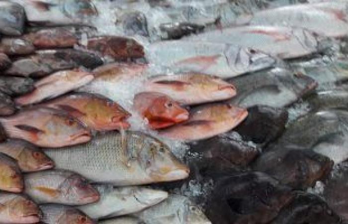 أسعار الأسماك اليوم بسوق العبور.. البورى يتراوح بين 32-48 جنيها للكيلو