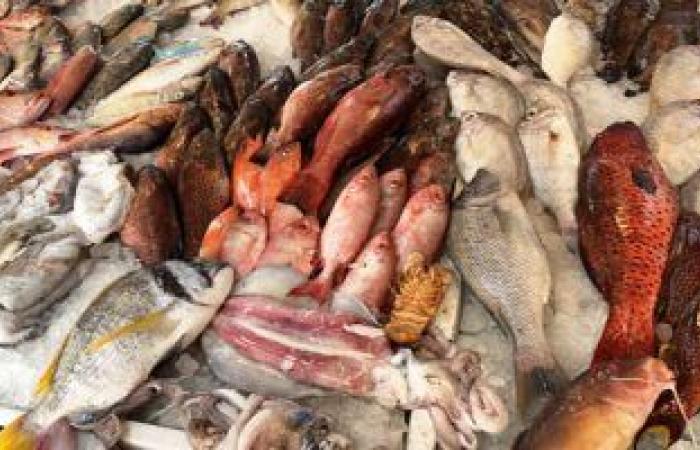 أسعار الأسماك اليوم بسوق العبور للجملة.. انخفاض البلطي المزارع