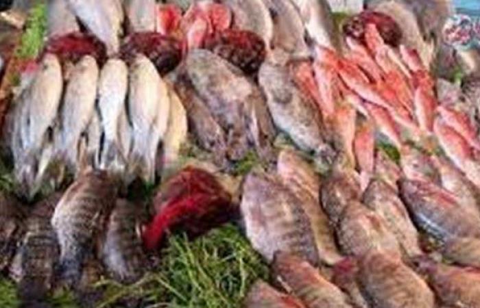 ضبط صاحب محل بحوزته 1.5 طن أسماك سردين فاسدة في القاهرة