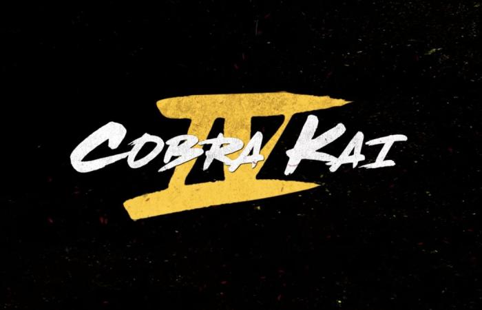 الموسم الرابع من Cobra Kai يصدر في ديسمبر عبر Netflix