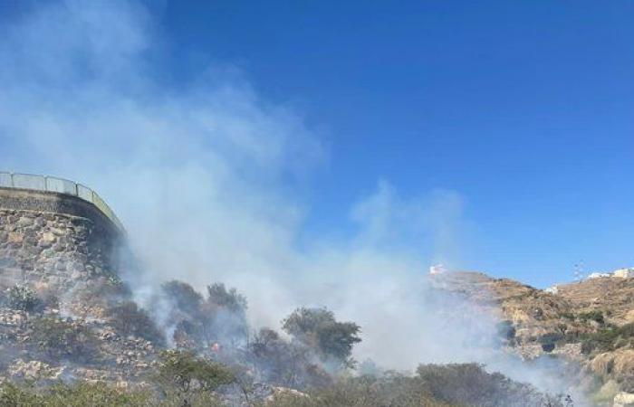 الدفاع المدني يسيطر على حريق وادي سد أبها ولا إصابات