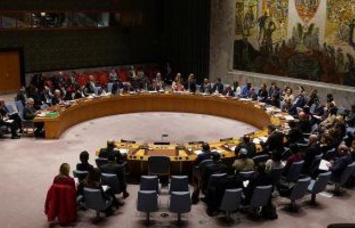 مجلس الأمن يثنى على الشعب العراقى لالتزامه بالعملية الانتخابية