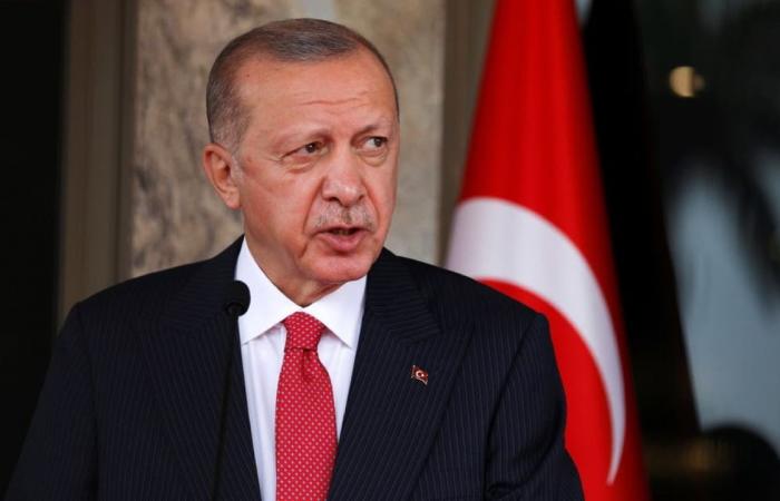 أردوغان يعلن اتخاذ خطوات لتحسين العلاقات مع مصر وإسرائيل
