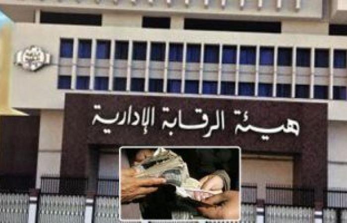 الرقابة الإدارية تنشر فيديو لرفع علم مصر على مقر مؤتمر الأمم المتحدة لمكافحة الفساد
