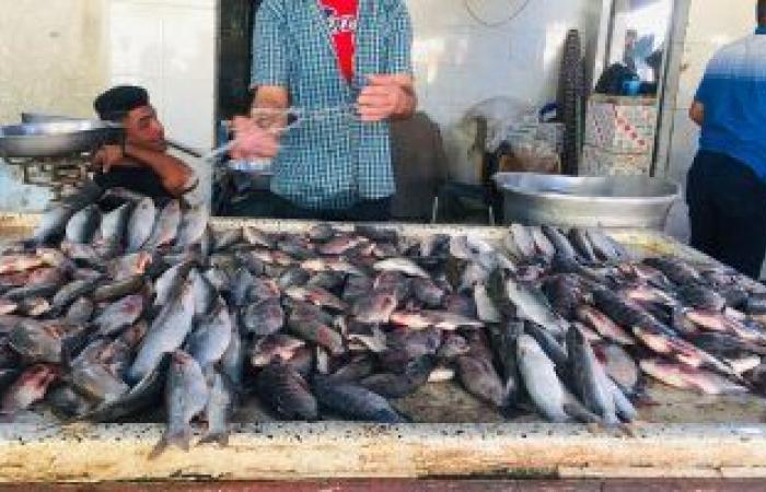 أسعار الأسماك فى مصر اليوم.. البلطى يبدأ من 21 جنيها فى الجملة