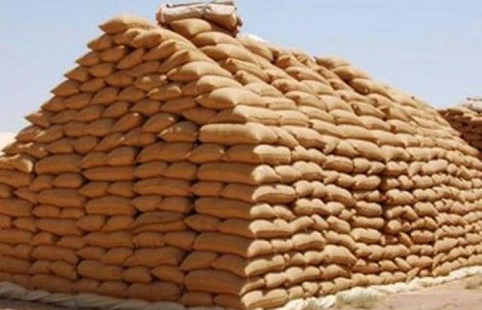 زيادة نسبة المستثمرين السعوديين في الخارج من مشتريات القمح إلى 20%