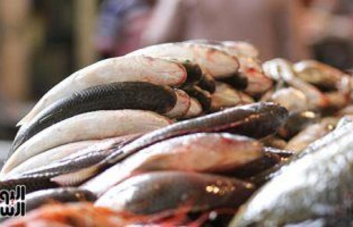 أسعار الأسماك فى مصر اليوم.. البلطى يبدأ بـ22 جنيها في الجملة