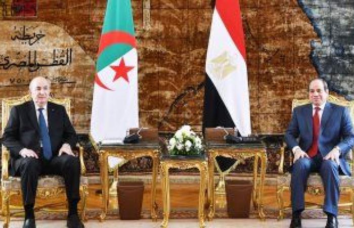 خبراء جزائريون: زيارة تبون للقاهرة فعلت آليات التعاون بين مصر والجزائر