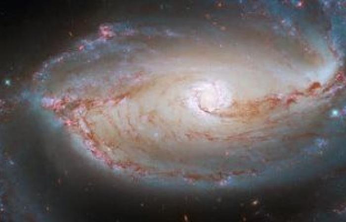 تلسكوب هابل يلتقط صورة لمجرة مزهلة باستخدام أداتين للتصوير