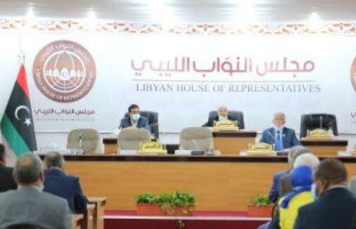 نائب رئيس النواب الليبى ومسئولة أممية يبحثان مستجدات العملية السياسية فى ليبيا
