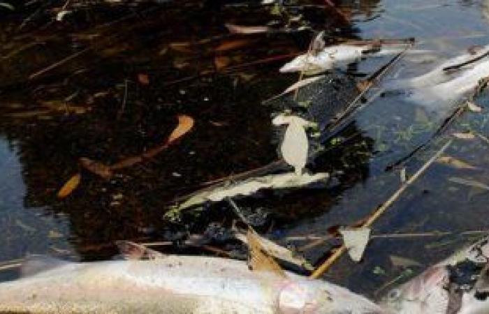 8 مسببات لتلوث الأنهار والبحيرات فى العالم تعرف عليها