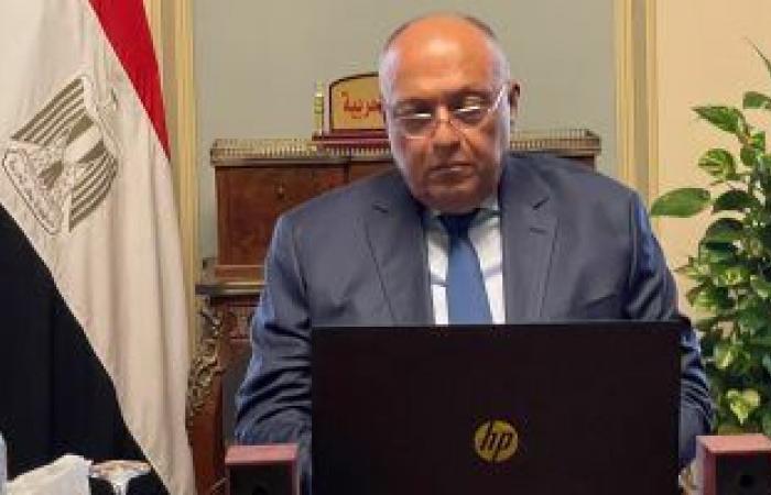 وزير الخارجية يشارك فى اجتماع مجموعة الاتصال العربية بشأن أزمة أوكرانيا
