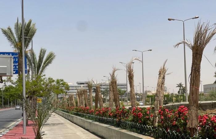 القابضة للمطارات: تطوير شبكة الطرق بمطار القاهرة وزيادة المساحات الخضراء