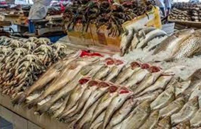 أسعار الأسماك اليوم السبت 3 سبتمبر بسوق العبور.. البلطي يصل إلى 40 جنيه والجمبري 275 جنيه