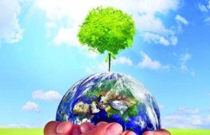 برلمانية: قمة شرم الشيخ ستكون ناجحة لمواجهة الآثار السلبية لتغير المناخ