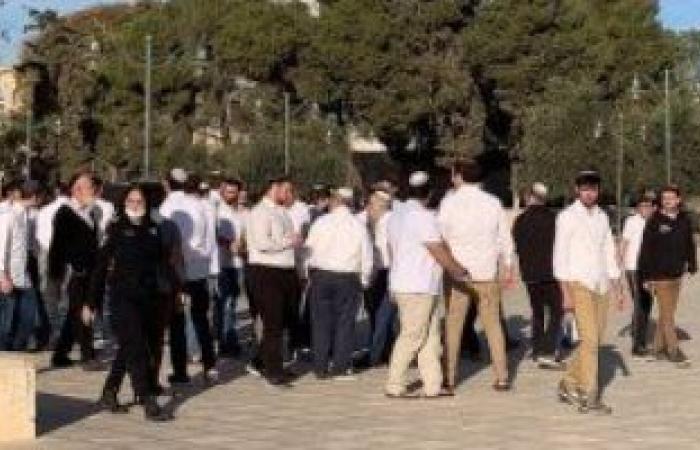 عشرات المستوطنين الإسرائيليين يقتحمون ساحات الأقصى فى حراسة شرطة الاحتلال