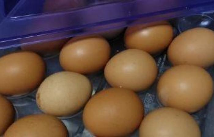 طبيبة بيطرية تحذر من غسيل البيض قبل حفظه فى الثلاجة