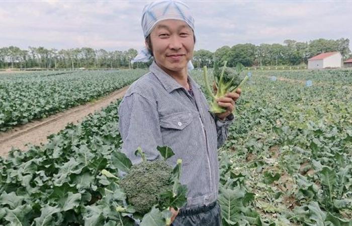 بعد الكارثة النووية.. اليابان تعيد انعاش الاقتصاد الزراعي بفوكوشيما