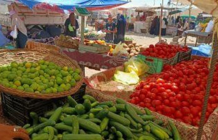 أسعار الخضراوات اليوم في مصر.. استقرار جميع الأصناف