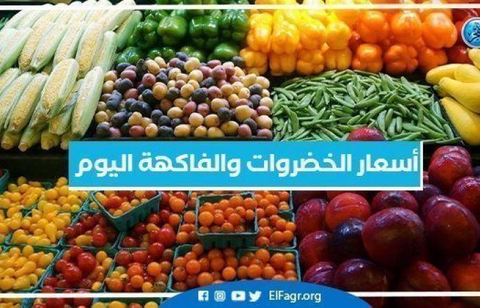 أسعار الخضروات والفاكهة اليوم الإثنين 9 يناير في السوق المصري وسوق العبور