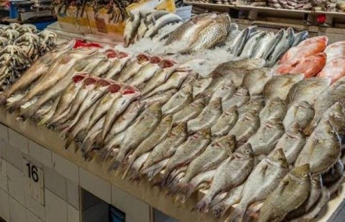 أسعار الأسماك بأسواق العبور ومعارض "أهلا رمضان" اليوم الجمعة 27-1-2023