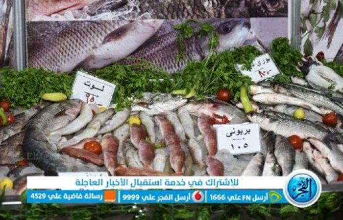 أسعار الأسماك بأسواق العبور ومعارض "أهلا رمضان" اليوم الجمعة 27-1-2023