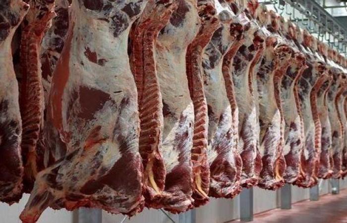 أسعار اللحوم اليوم الإثنين 30-1-2023 في المنياالإثنين 30/يناير/2023 - 09:53 ص
استقرت أسعار اللحوم، بشكل ملحوظ اليوم، داخل الأسواق بمحافظة المنيا، ومختلف السلاسل التجارية، ومحال الجزارة والأسواق المختلفة لمدن المحافظة التسع.