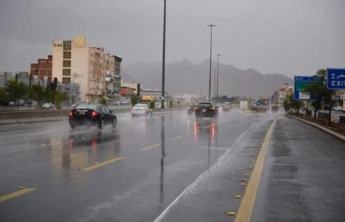 توقعات بأمطار رعدية على الباحة حتى الـ 8 مساءً
