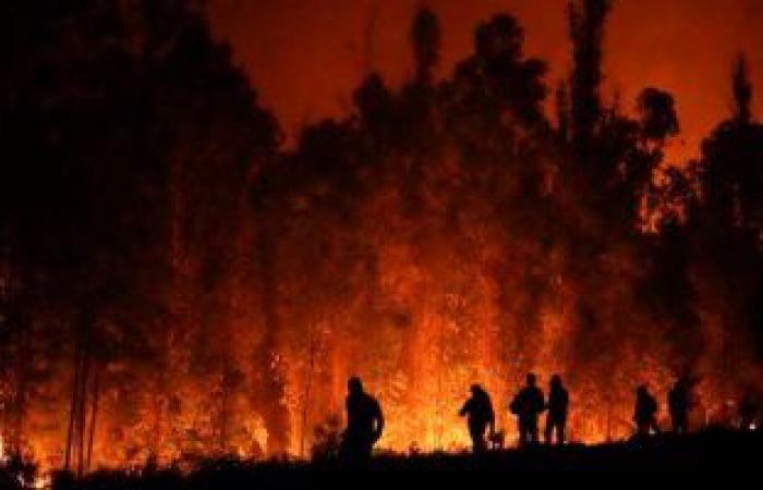 الجزائر تعرب عن تضامنها مع تشيلى إثر سقوط ضحايا جراء حرائق الغابات