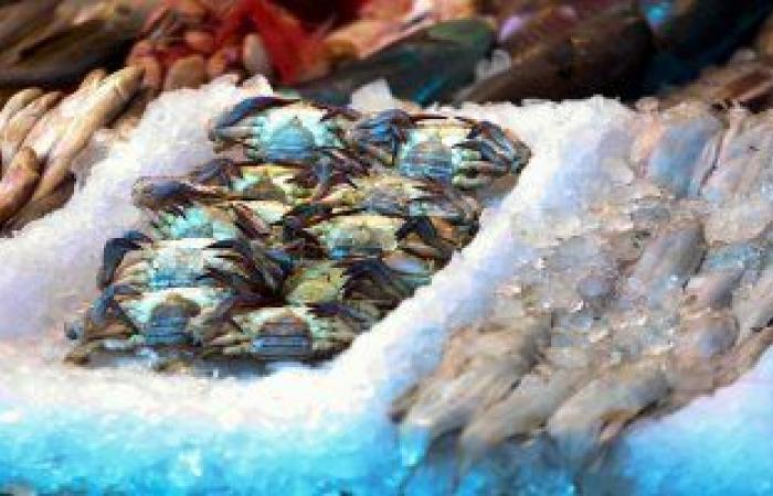 أسعار السمك اليوم الأربعاء تسجل استقرار ملحوظ