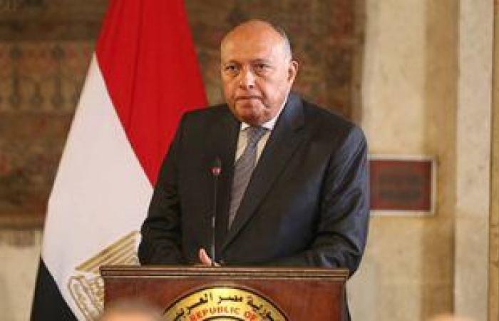سامح شكرى يؤكد استعداد مصر لتطوير العلاقات مع الدنمارك