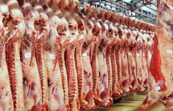 أسعار اللحوم اليوم السبت 25-3-2023 في السوق المحليالسبت 25/مارس/2023 - 08:47 ص
قال محمد ريحان عضو شعبة القصابين بغرفة القاهرة التجارية، إن هناك ارتفاعًا مستمرًّا في أسعار اللحوم خلال الفترة الأخيرة، بدون أي أسباب مقنعة.