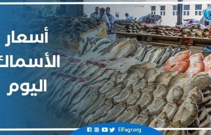 أسعار الأسماك اليوم الأحد رابع أيام رمضان