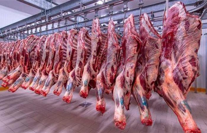 أسعار اللحوم اليوم الخميس 4-5-2023 في أسواق المنياالخميس 04/مايو/2023 - 09:45 ص
استقرت أسعار اللحوم، بشكل ملحوظ اليوم، داخل الأسواق بمحافظة المنيا، ومختلف السلاسل التجارية، ومحال الجزارة والأسواق المختلفة لمدن المحافظة التسع.