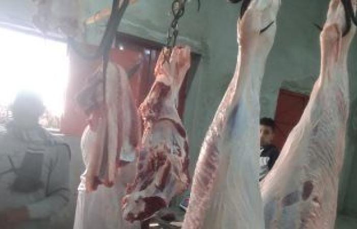 أسعار اللحوم فى مصر اليوم الإثنين 5 يونيو 2023