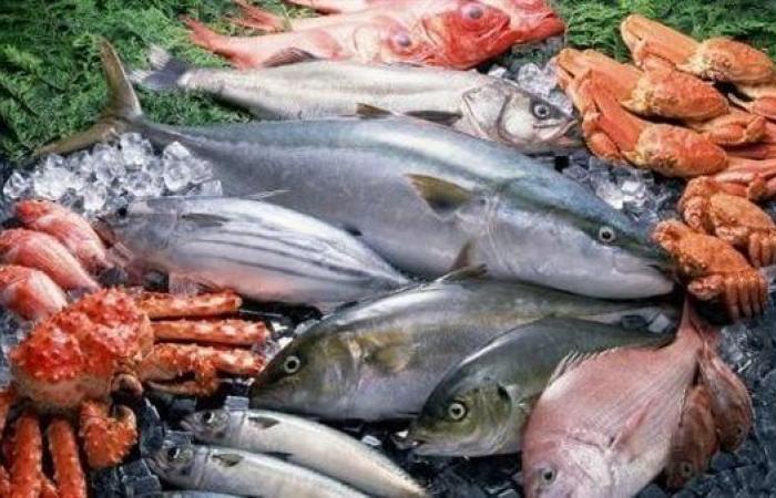 أسعار الأسماك اليوم الخميس 2-11-2023 في شوادر الدقهليةالخميس 02/نوفمبر/2023 - 09:48 ص
أسعار الأسماك، استقرت أسعار الأسماك اليوم الخميس، بجميع منافذ وشوادر الأسماك في محافظة الدقهلية