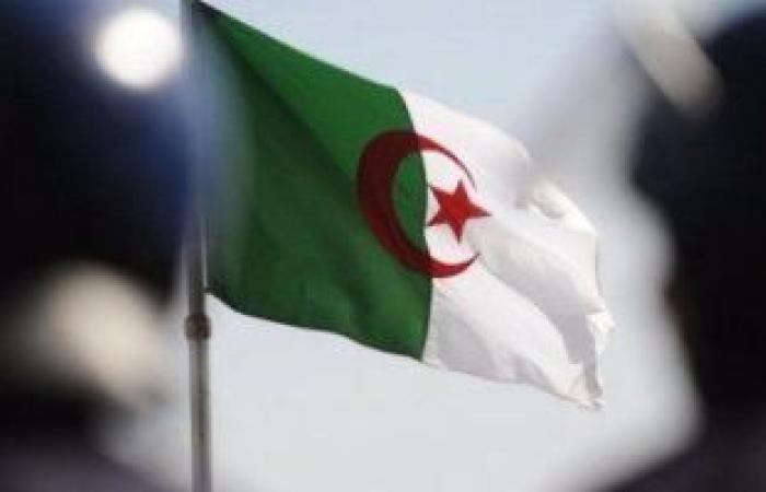 الجزائر تحيى الذكرى الـ 69 لاندلاع ثورتها التحريرية بأعلام فلسطين