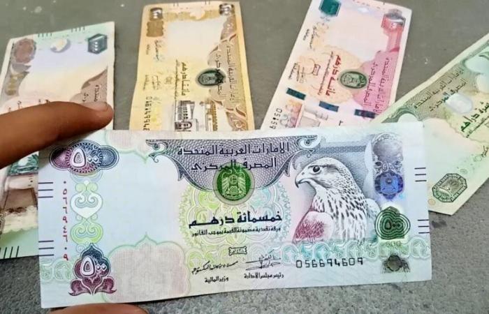 قبيل عودة البنوك.. أسعار الدرهم الإماراتي في مصر مقابل الجنيه اليوم 20 يناير 2024