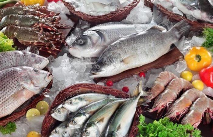 أسعار " الفراخ والبيض والاسماك " اليوم الخميس 1 فبراير 2024 داخل عموم الأسواق المحلية