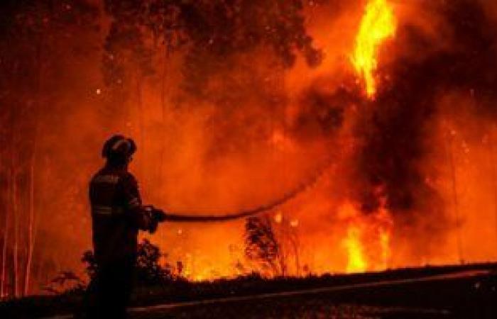 الأردن يؤكد وجود إصابات بين مواطنيه فى تشيلى جراء حرائق الغابات