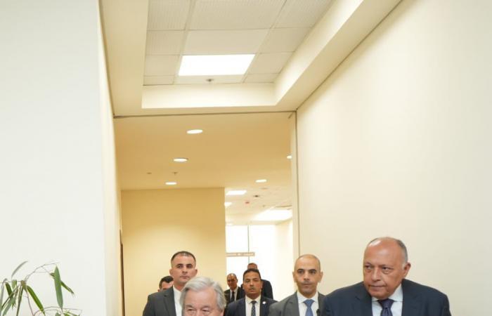وزير الخارجية يبحث مع جوتيريش سبل وقف إطلاق النار بغزة