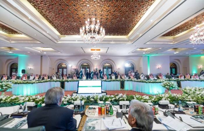 وزير الخارجية ونظيره الباكستاني يرأسان اجتماع مجلس تيسير الاستثمار الخاص بين البلدين