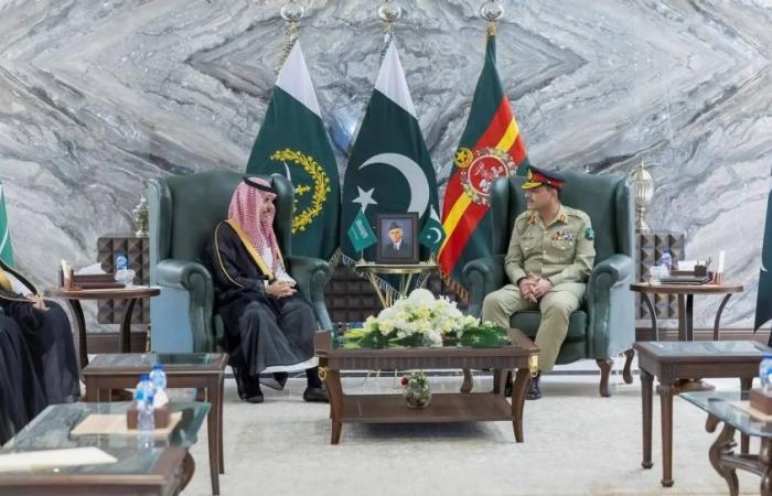 وزير الخارجية يلتقي رئيس أركان الجيش الباكستاني