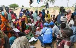 مفوضية اللاجئين: مصر تستضيف 570 ألف لاجئ سودانى