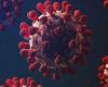 وفاة 7 حالات بفيروس كورونا في القليوبية